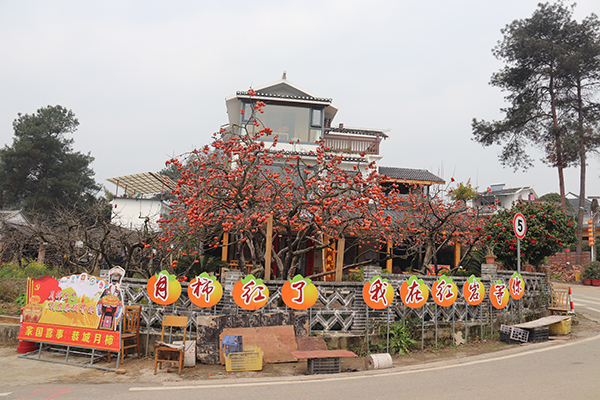 红岩村柿海